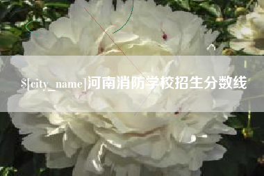 武汉河南消防学校招生分数线