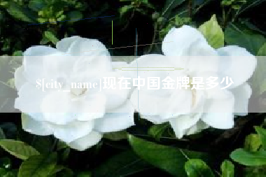 武汉现在中国金牌是多少