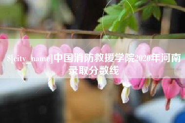 武汉中国消防救援学院2020年河南录取分数线