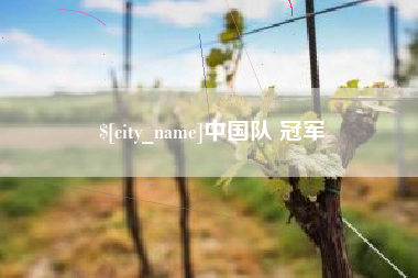 武汉中国队 冠军