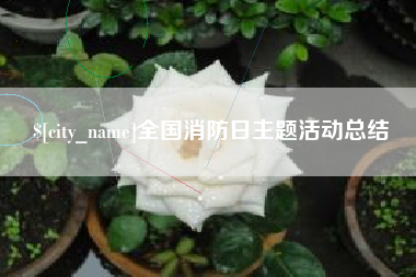 武汉全国消防日主题活动总结