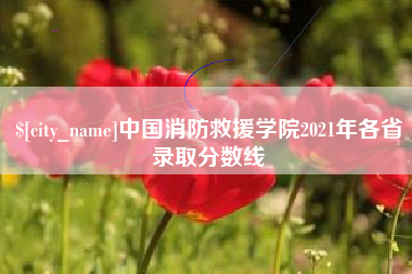 武汉中国消防救援学院2021年各省录取分数线