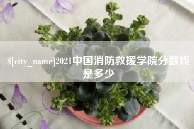 武汉2021中国消防救援学院分数线是多少