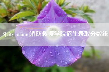 武汉消防救援学院招生录取分数线