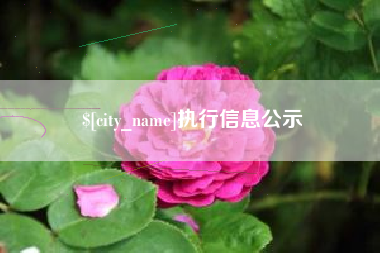 武汉执行信息公示