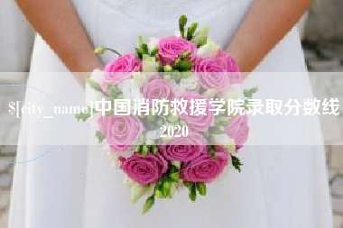 武汉中国消防救援学院录取分数线2020