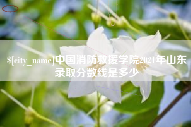 武汉中国消防救援学院2021年山东录取分数线是多少