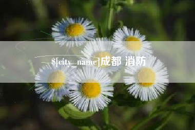 武汉成都 消防