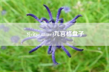 武汉九宫格盘子