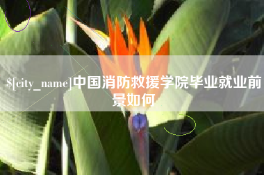 武汉中国消防救援学院毕业就业前景如何