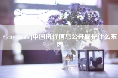 武汉中国执行信息公开网是什么东西