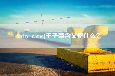 武汉王子豪含义是什么？