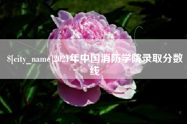 武汉2021年中国消防学院录取分数线