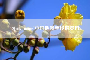 武汉中国地图手抄报资料