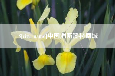 武汉中国消防器材商城