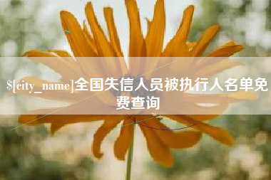武汉全国失信人员被执行人名单免费查询