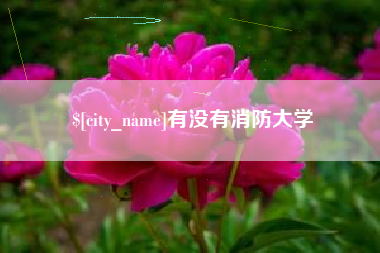 武汉有没有消防大学