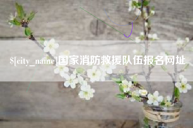 武汉国家消防救援队伍报名网址