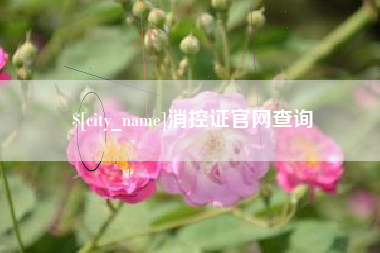 武汉消控证官网查询