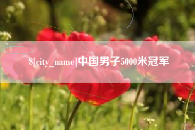 武汉中国男子5000米冠军