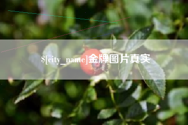 武汉金牌图片真实