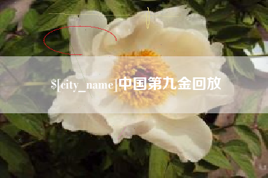 武汉中国第九金回放