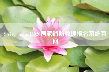 武汉2020国家消防救援报名系统官网