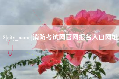 武汉消防考试网官网报名入口网址