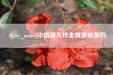 武汉中国第九枚金牌是谁得的