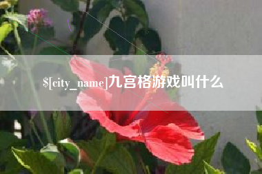 武汉九宫格游戏叫什么