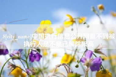 武汉中国执行信息公开网查不到被执行人是不是已解除限高