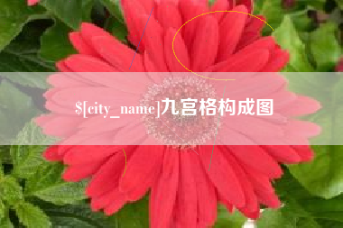 武汉九宫格构成图