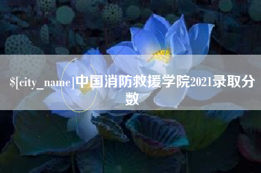 武汉中国消防救援学院2021录取分数