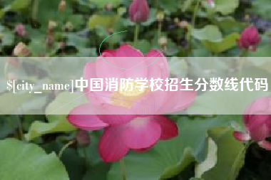 武汉中国消防学校招生分数线代码