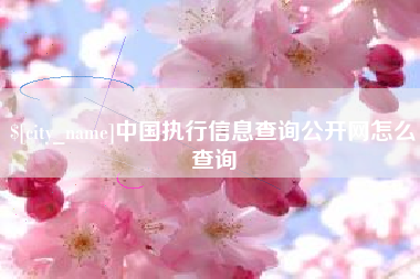 武汉中国执行信息查询公开网怎么查询