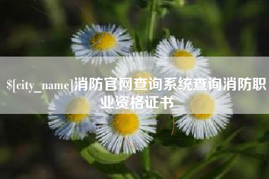 武汉消防官网查询系统查询消防职业资格证书