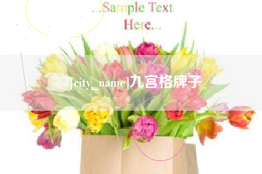武汉九宫格牌子