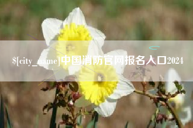 武汉中国消防官网报名入口2024