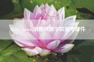 武汉消防救援学院报考条件
