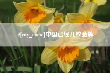 武汉中国已经几枚金牌