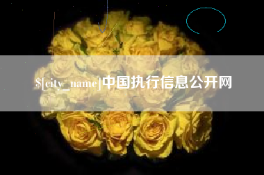 武汉中国执行信息公开网