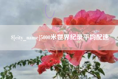 武汉5000米世界纪录平均配速