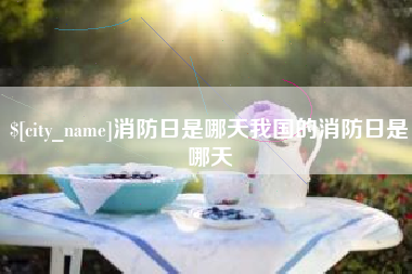 武汉消防日是哪天我国的消防日是哪天