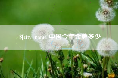 武汉中国今年金牌多少