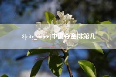武汉中国夺金排第几