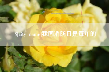 武汉我国消防日是每年的