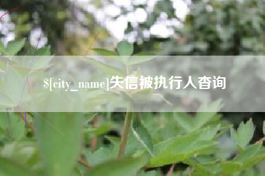 武汉失信被执行人杳询
