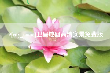 武汉卫星地图高清实景免费版