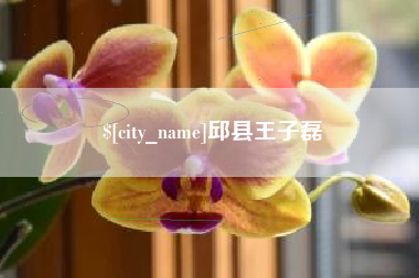 武汉邱县王子磊