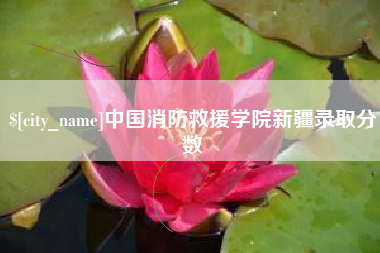 武汉中国消防救援学院新疆录取分数